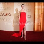 Fashion editor says fashion at this year’s Oscars met expectations