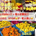 久々のシンガポールNo.３　落穂拾い的観光の巻　シニアの旅行けば＃5６