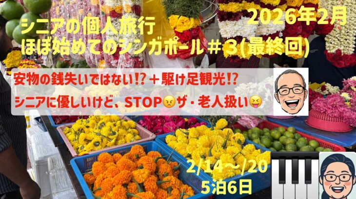 久々のシンガポールNo.３　落穂拾い的観光の巻　シニアの旅行けば＃5６