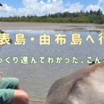 シニア女子、西表島・由布島へ行く｜マングローブクルーズと水牛の島時間【沖縄離島Vlog】