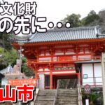 【シニアの一人旅Vlog＠和歌山市】和歌山市で見つけた心落ち着く場所｜史跡と神社仏閣を巡る