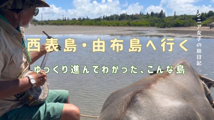 シニア女子、西表島・由布島へ行く｜マングローブクルーズと水牛の島時間【沖縄離島Vlog】