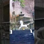 【シニアの一人旅Vlog＠和歌山県有田市】#shorts