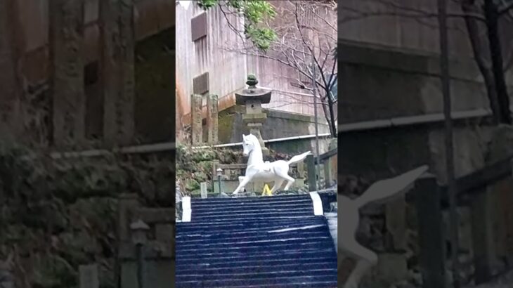 【シニアの一人旅Vlog＠和歌山県有田市】#shorts