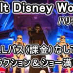 WDWフロリダディズニー シニア夫婦旅 ハリウッドスタジオ編