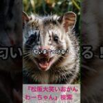 松阪市 シニア向けスマホ活用教室 家族や友達との会話に雑学が役立つ #shorts