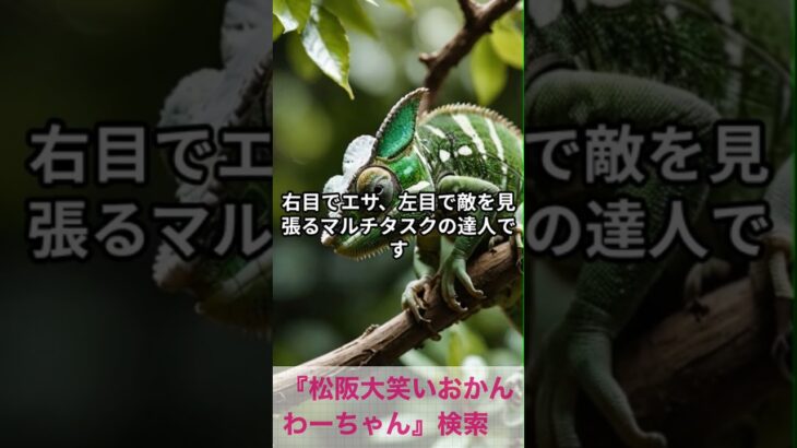 松阪市 シニア向けスマホ活用教室 今日の豆知識が毎日の楽しみになった #shorts