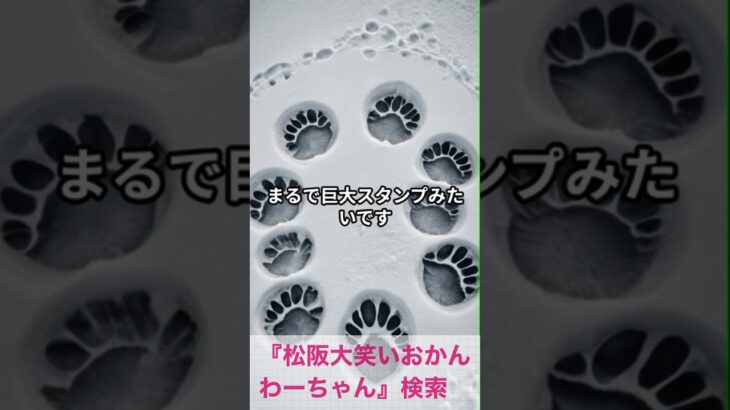 松阪市 シニア向けスマホ活用教室 アイデアから動画作成までアプリで完結 #shorts