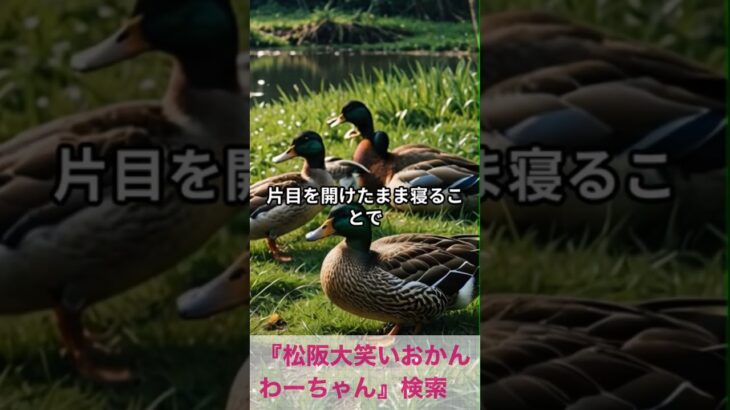 松阪市 シニア向けスマホ活用教室 写真から簡単に動画が作れる時代に感動 #shorts