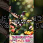 松阪市 シニア向けスマホ活用教室 今日の豆知識が毎日の楽しみになった #shorts