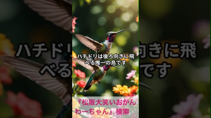 松阪市 シニア向けスマホ活用教室 今日の豆知識が毎日の楽しみになった #shorts