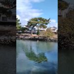 【シニアの一人旅＠湯浅町】醤油発祥の町で出会った歴史遺産｜熊野古道と共に発展した港町#shorts