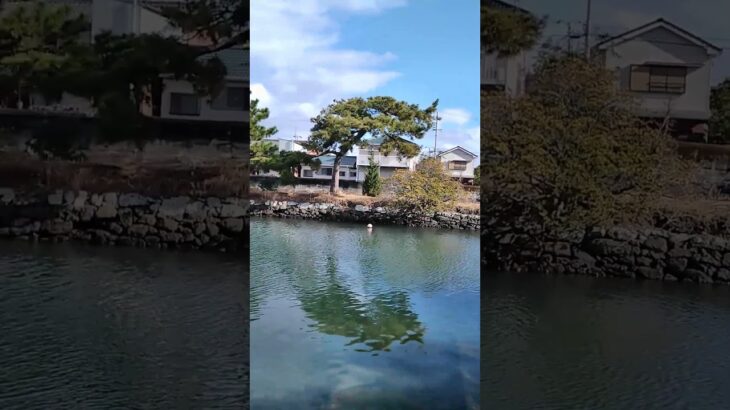 【シニアの一人旅＠湯浅町】醤油発祥の町で出会った歴史遺産｜熊野古道と共に発展した港町#shorts