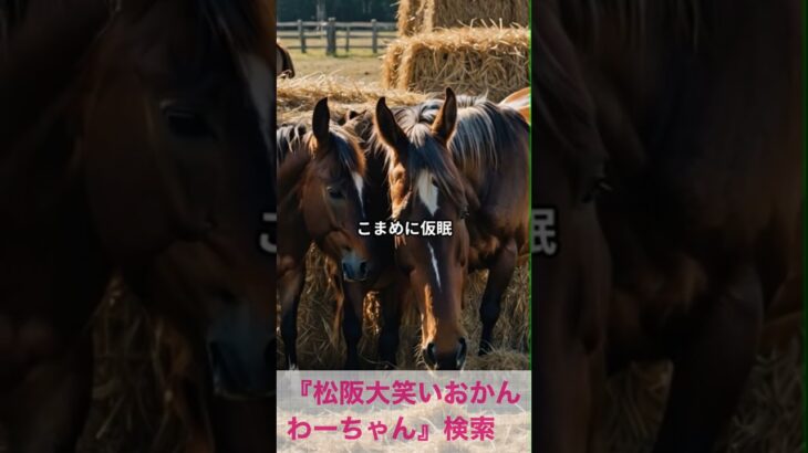 松阪市 シニア向けスマホ活用教室 動画が完成したときの達成感がすごい #shorts