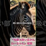 松阪市 シニア向けスマホ活用教室 テキストがそのまま“語る動画”に変身 #shorts