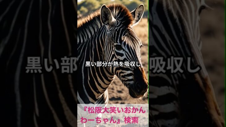 松阪市 シニア向けスマホ活用教室 テキストがそのまま“語る動画”に変身 #shorts