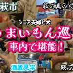 【シニア夫婦の車中泊】愛犬と萩のグルメと名産品を満喫！酒蔵見学をして来ました