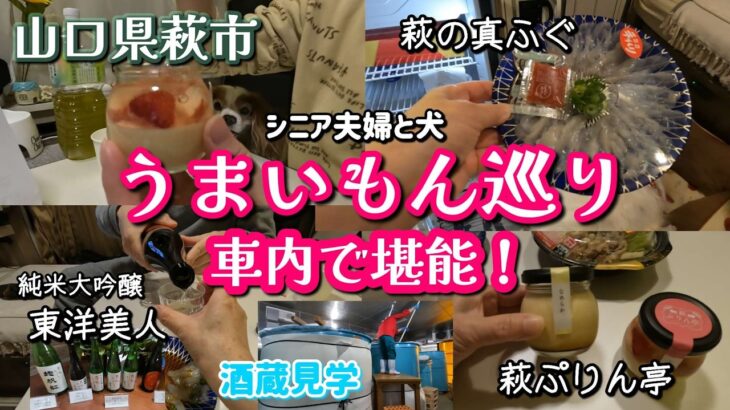 【シニア夫婦の車中泊】愛犬と萩のグルメと名産品を満喫！酒蔵見学をして来ました