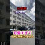 古そうな団地の中が、可愛い！？けどまさかの欠点が…  #お部屋探し #リノベ #不動産 #ルームツアー #物件探し