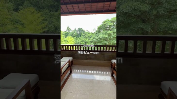 シニアのバリ島旅　ウブドのピタマハリゾート渓谷ビューの部屋