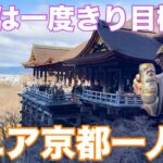 シニア京都神社文化財特別公開一人旅
