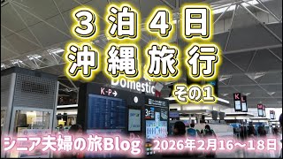 【シニア夫婦旅行】３泊４日の沖縄旅行観光とプロ野球キャンプ地へ