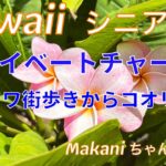 ハワイ　シニア旅　プライベートツアー　ノースショア編