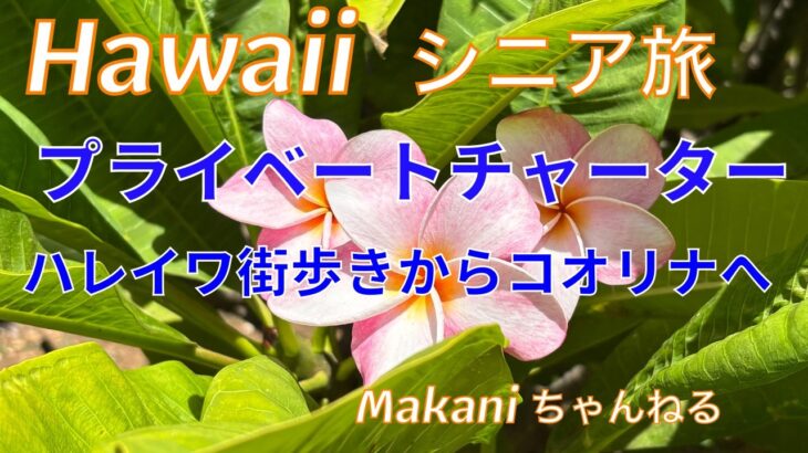 ハワイ　シニア旅　プライベートツアー　ノースショア編