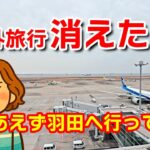【旅行中止でも楽しむ】シニアの羽田空港満喫ガイド