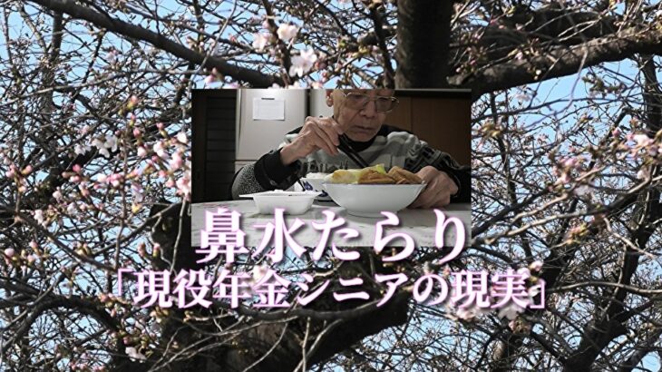 鼻水たらり「現役年金シニアの現実」
