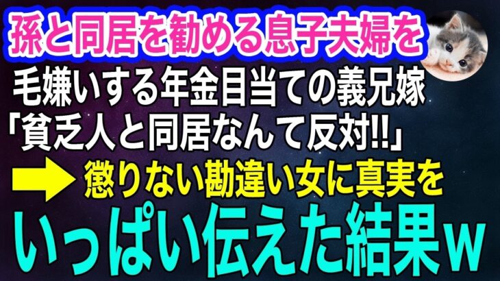 孫と同居を勧める息子夫婦を毛嫌いする年金目当ての義兄嫁「軽自動車の貧乏人と同居なんて反対‼」息子嫁「そもそも…」→勘違い女に真実をいっぱい伝えた結果ｗ【スカッとする話・年金シニア生活】