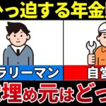 🏆【老後年金】年金減少の穴埋めとして〇〇年金が減らされる🏆