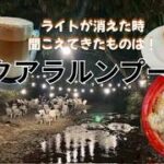 【マレーシア】帰国前日に川のせせらぎを聴くクアラルンプール旅行は楽しいハプニング！