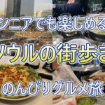 ７０代でも楽しめるソウルの街歩き＃シニア旅＃韓国グルメ＃ソウル