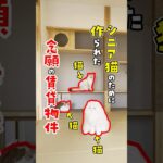 【和と猫は最強の組み合わせ】シニア猫のために部屋の中に縁側を作りました #ねこ #ルームツアー #ねこ物件