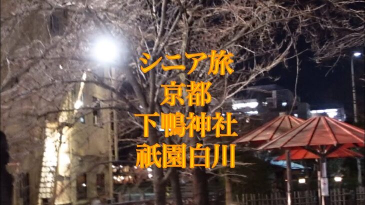 シニアの旅　京都下鴨神社　祇園白川