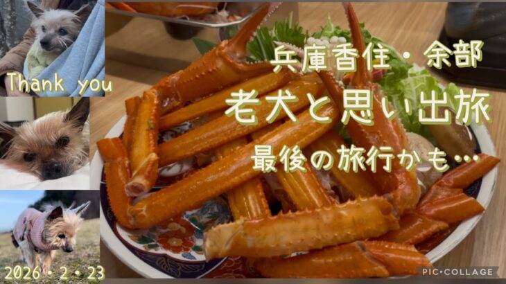 愛犬（シニア）カニ旅行　夕凪の丘