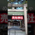 松江市 絶対行きたい 神社３選 #シニア旅