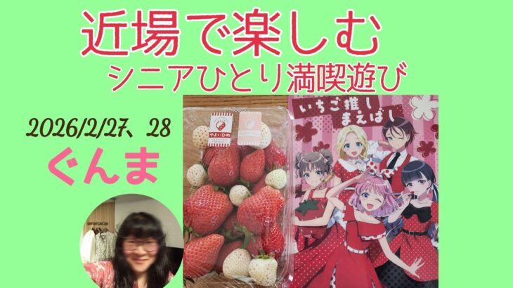 ぐんま近場で楽しむ♨️シニアひとり満喫遊び～教えたくないけど教えちゃう