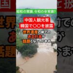 【雑学】中国人観光客、韓国世界遺産で〇〇を披露#雑学 #政治 #歴史