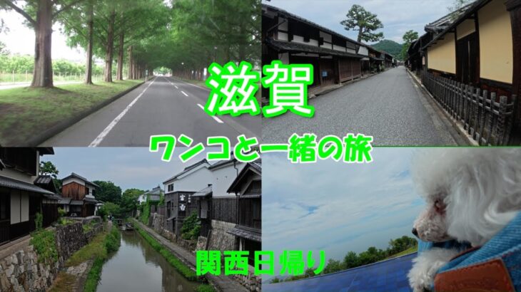 【６０代シニア旅】滋賀 関西日帰り旅