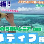 【旅するシニアのてんやわんや】モルディブ旅行 vol.3「やっとモルディブの海！！お部屋の風呂が…」#旅行 #海外旅行 #モルディブ #Sun Siyam Olhuveli