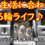 年金生活に合わせた６輪ライフ #シニアライフ #yamahabike  #da17v