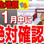 🪭【知らないと大損！】11月に届く年金決定通知書は絶対に確認して！これで◯◯万円も年金が増額します！🪭