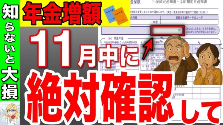 🪭【知らないと大損！】11月に届く年金決定通知書は絶対に確認して！これで◯◯万円も年金が増額します！🪭