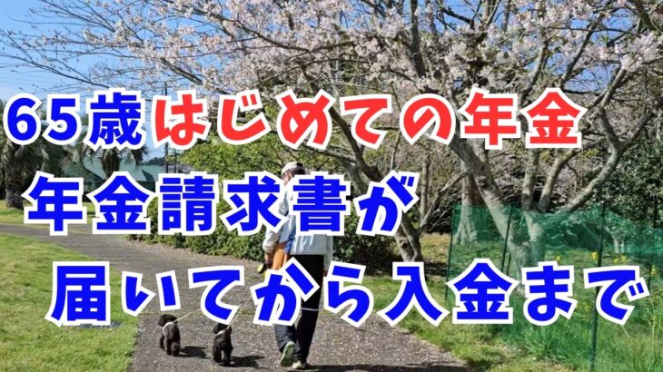 年金は申請しないともらえない｜元の穏やかなシェリへ💛　#151