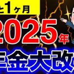 🪭【政府は教えない】2025年の年金大改悪で老後崩壊！私たちの年金を搾取する政府の戦略とは？🪭