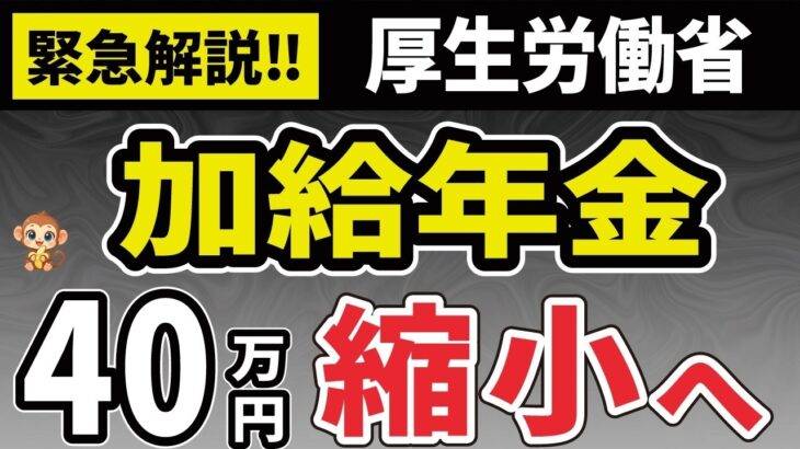 🏯【緊急】加給年金2025年改正へ！厚生労働省が見直し案🏯