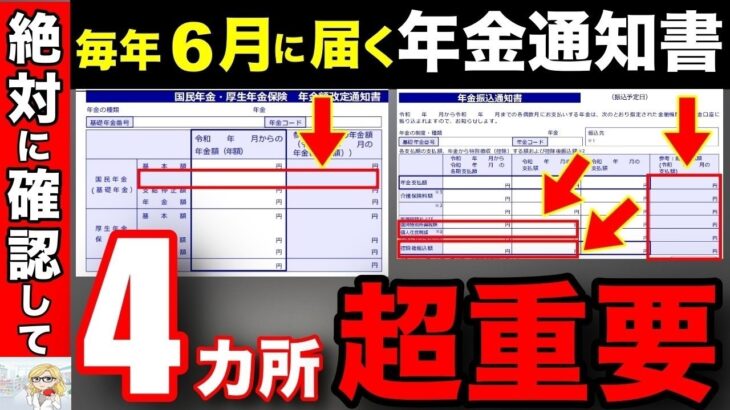 🪭【超重要】2025年6月に届く年金通知書ココだけチェックして！9割の人が損してる！【年金額改定通知書 振込通知書】🪭