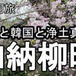【ナイスなシニアのぎふ町旅＠加納柳町】岐阜県岐阜市（2026年04月07日）